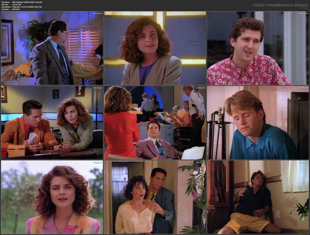 Silk Stalkings S02E04 Wild Card.mkv