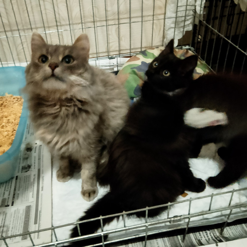 IMG 20251119 150325 2