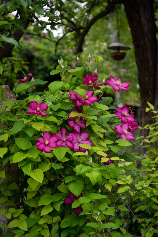 IMG-f4fb1d336f28ef0da1a47763a6b99e8f-V