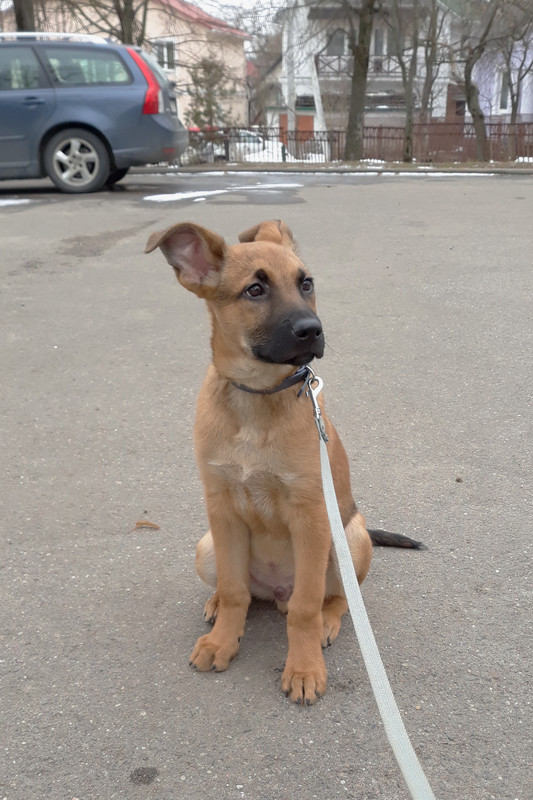 20190303_143838_018 ( изм )