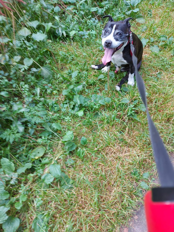 93D33FD9-589D-428B-8D94-B814DEAF477C