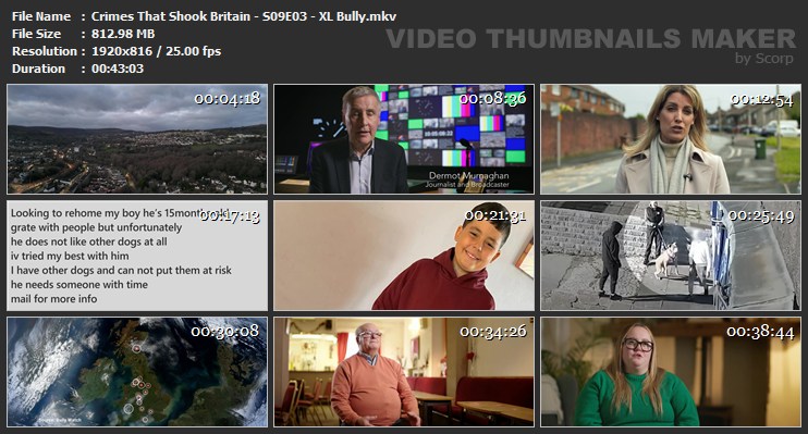 Crimes That Shook Britain - S09E03 - XL Bully.mkv