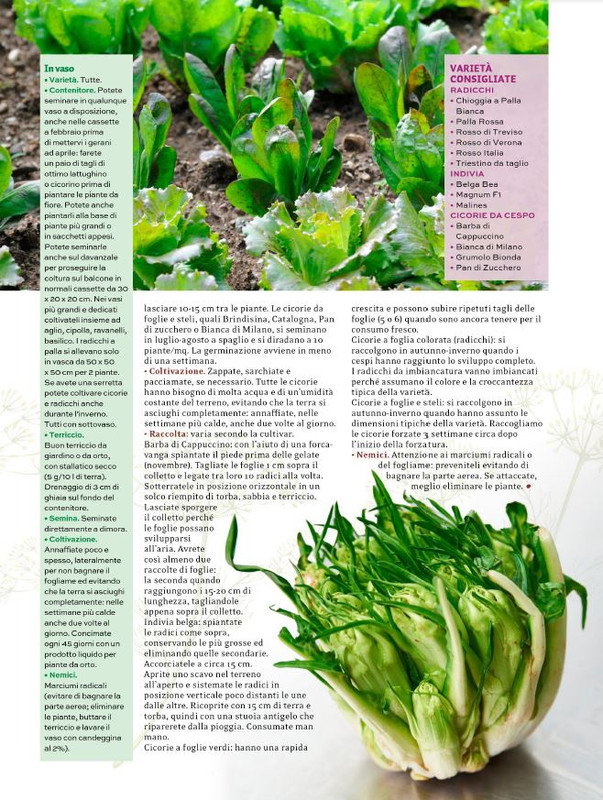 Orto Facile - Il Mio Orto Pratico - Feb-Mar 2024 (8)