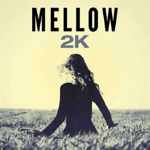 VA - Mellow 2K (2023) Mp3