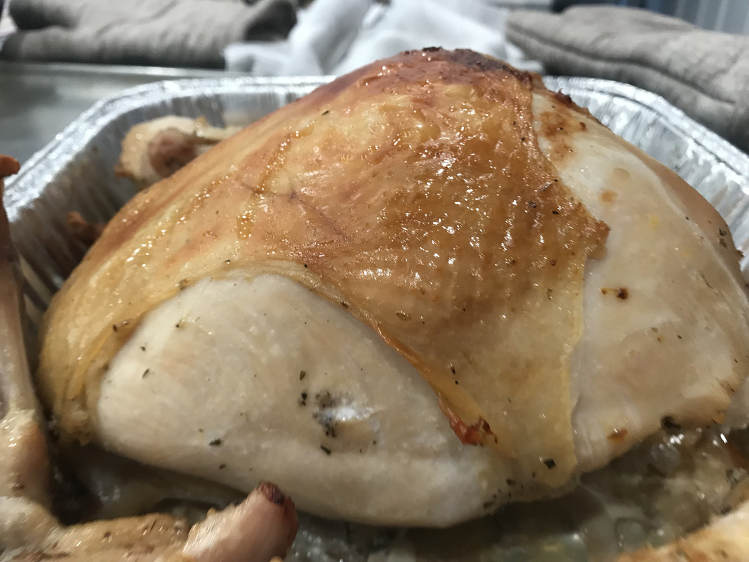 F926FB0E-4FED-41B2-A39C-B17287C446EE