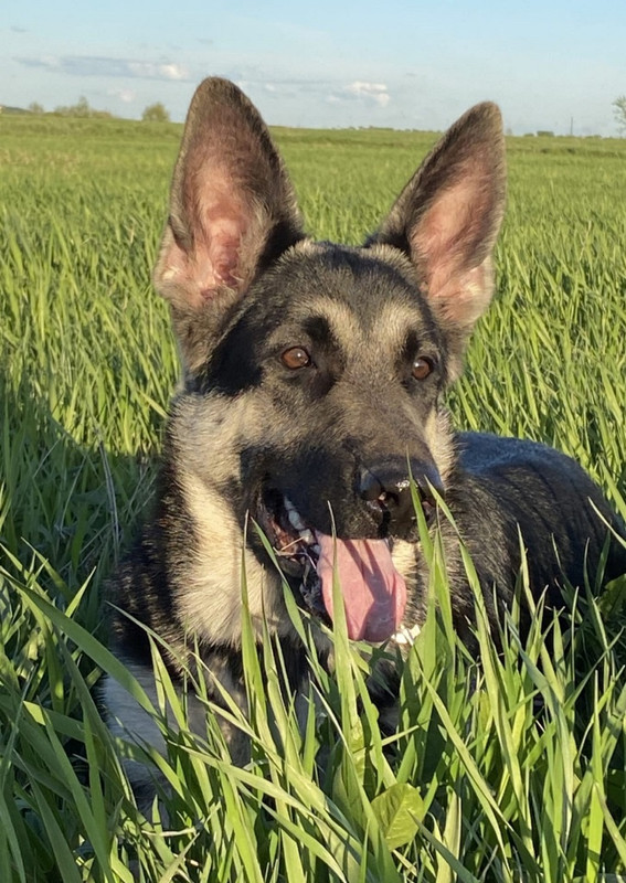 an-2kVsTYjtGehyAKssDSCsTiVcrxBLmxGrpmOb9JBg51XDcOb4ciXeDCr-mpKXWuiPYXa6y60ibXSGMo9CxJxeQ