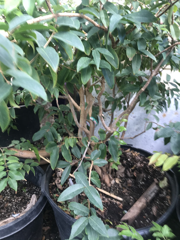 DFF51D72-4A77-4047-ABC6-037A134E1CD4