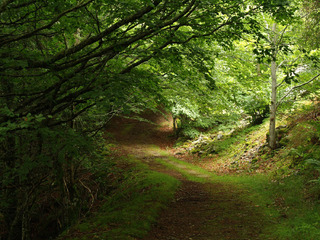 Foto1NP_Burgos_SanZadornil_03023017