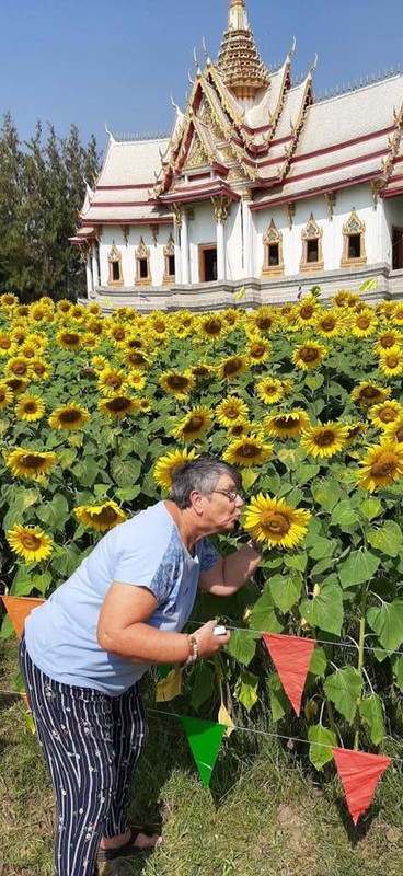 04CD44B4-F4F2-43D2-9CF3-43D1D2DB046A