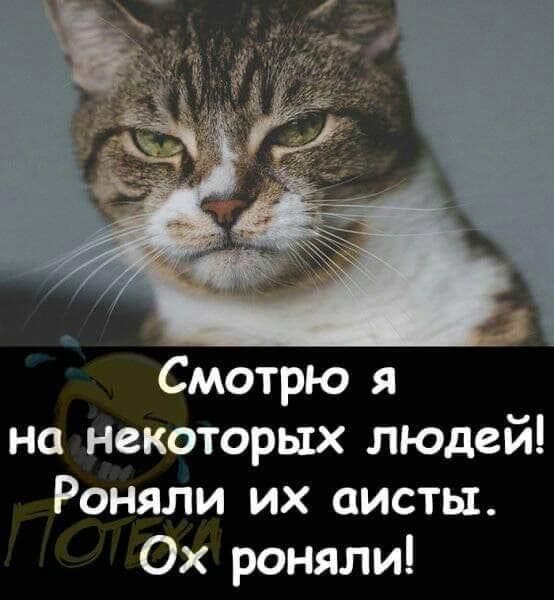 17 июня 2025 Это которой в Амерке-все убыточно.....