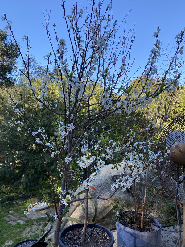 CC2B2A2C-3CCE-46E3-B265-EA02DD45ED29