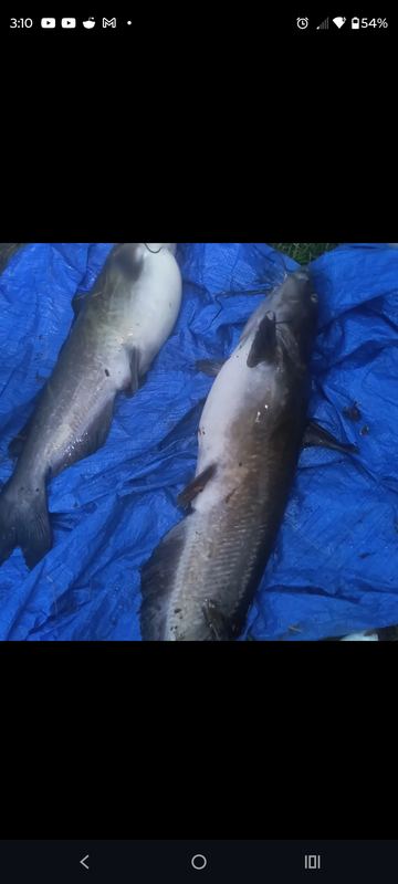 Screenshot 20250919 151002 Facebook