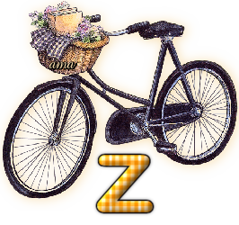 Bici Porta Flores  Z