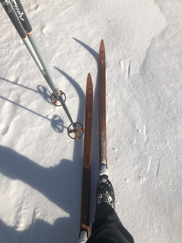 0144DEBD-168C-40BA-849B-52B8F177095D