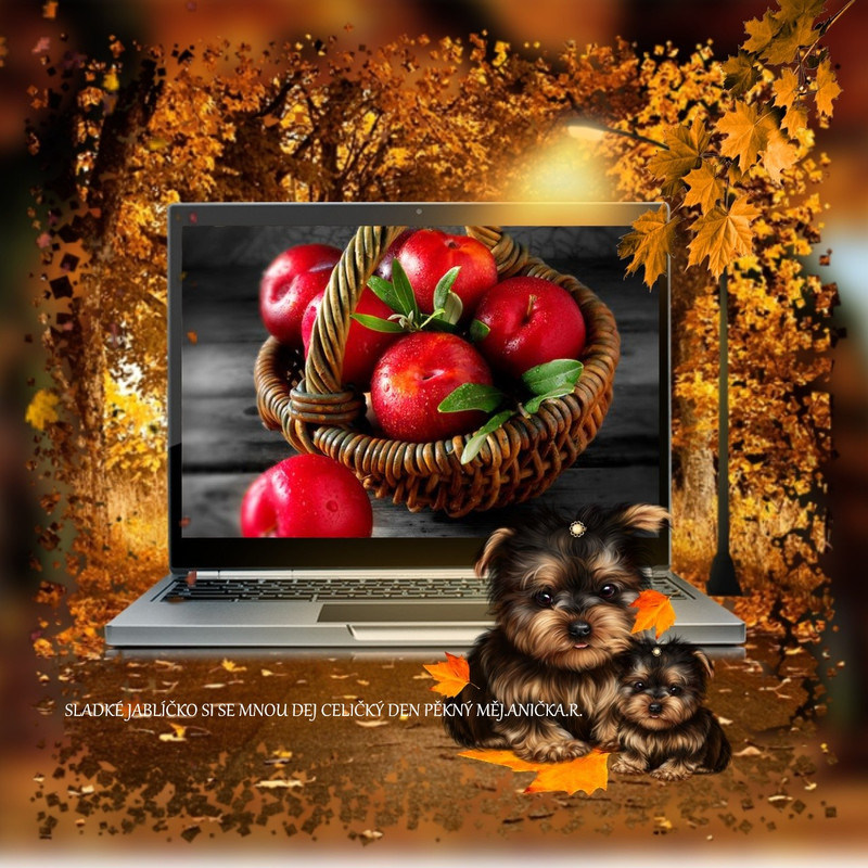 imikimi zo photo (4)