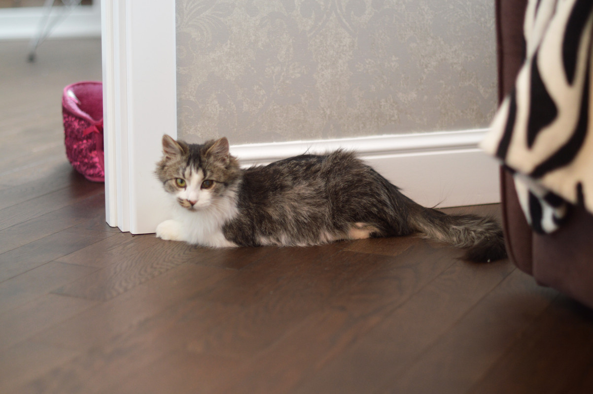 FullSizeRender-03-12-18-10-09-3 (1)