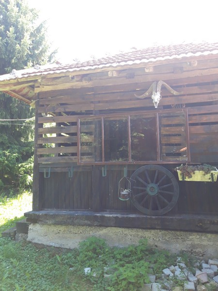 Slika