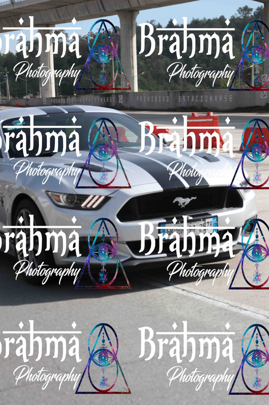 IMG 2147 — Postimages