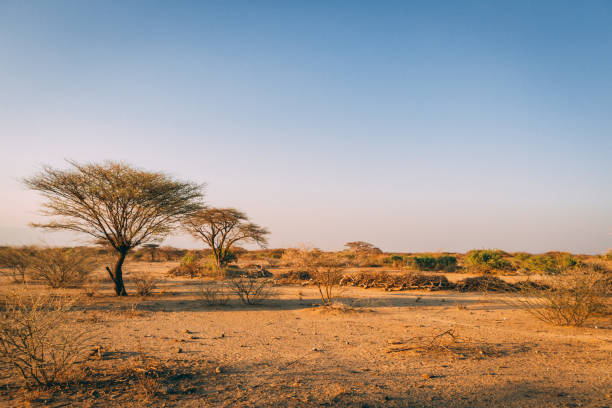 luxury Tanzania safari
