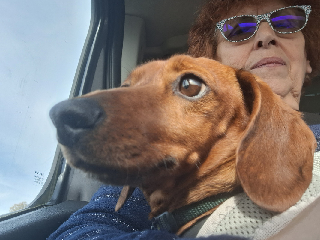 [Image: 20251018-142916.jpg]