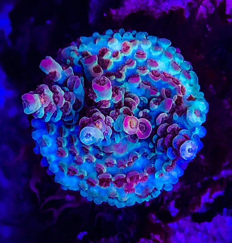 7D97BBA0-43A0-4458-9F09-EB50579CE63C