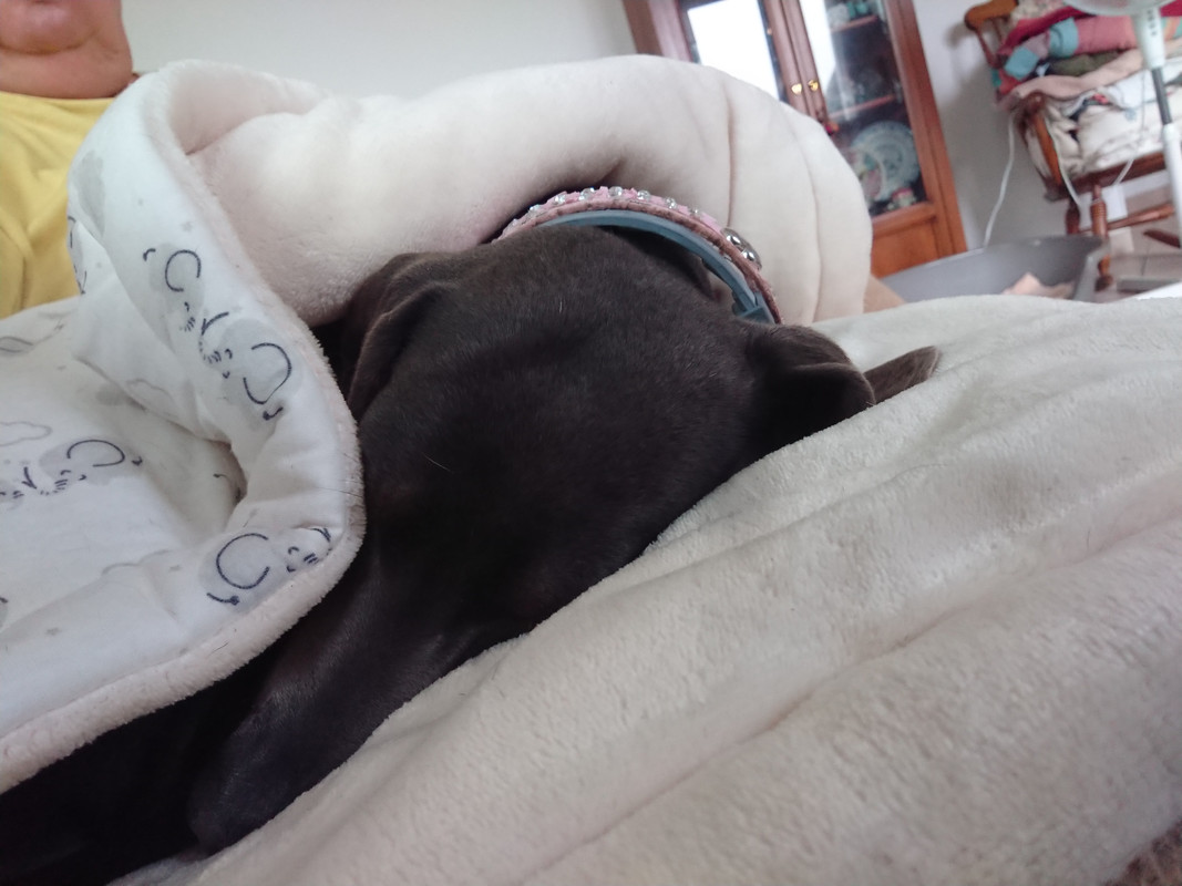 [Image: DSC-3187.jpg]