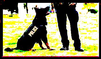 K9-Officer-main.jpg