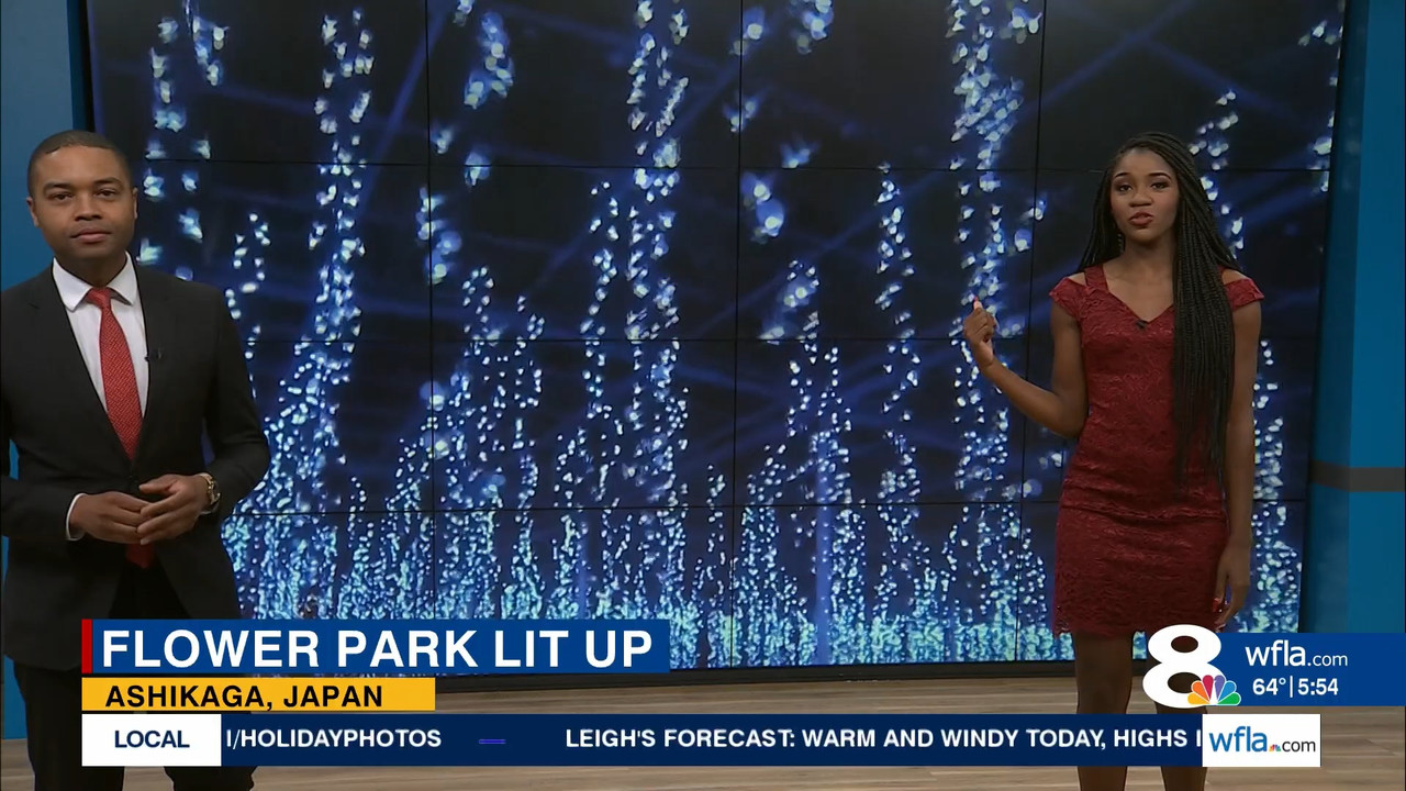 12.24 - 09.30.00 - News Ch8 Today at 4 30AM._001.ts_snapshot_15.36.328