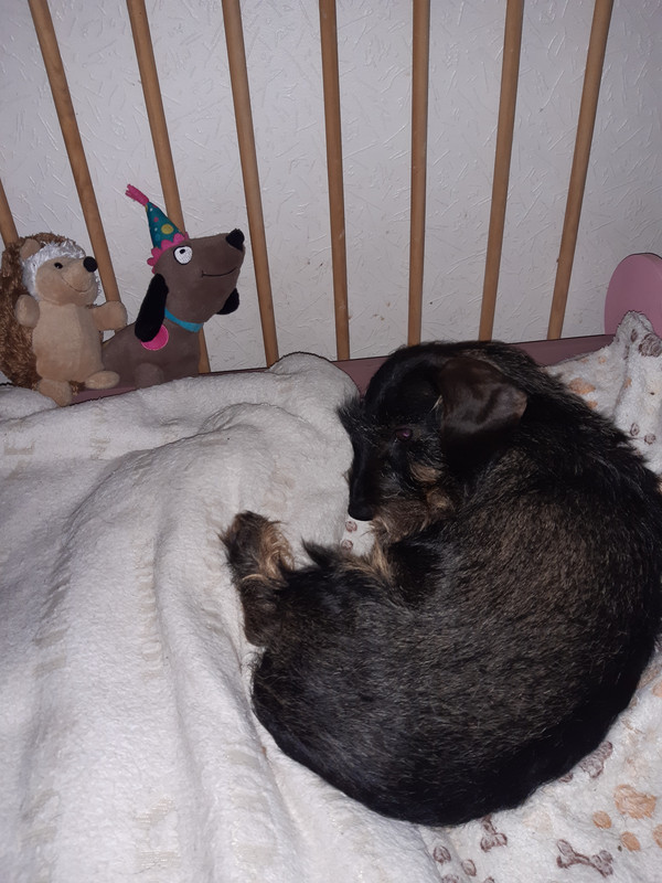 [Image: 20231201-165537.jpg]