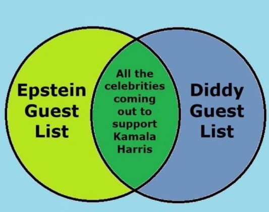 venn-epstein-diddy-guest-list-celebrities-favor-kamala.jpg