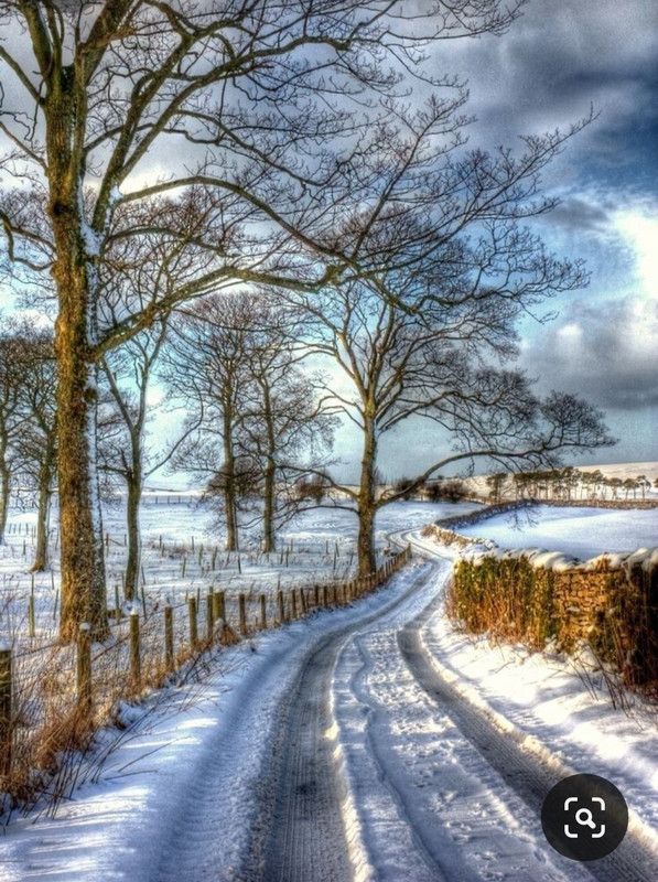 Screenshot_20230329_205248_Pinterest