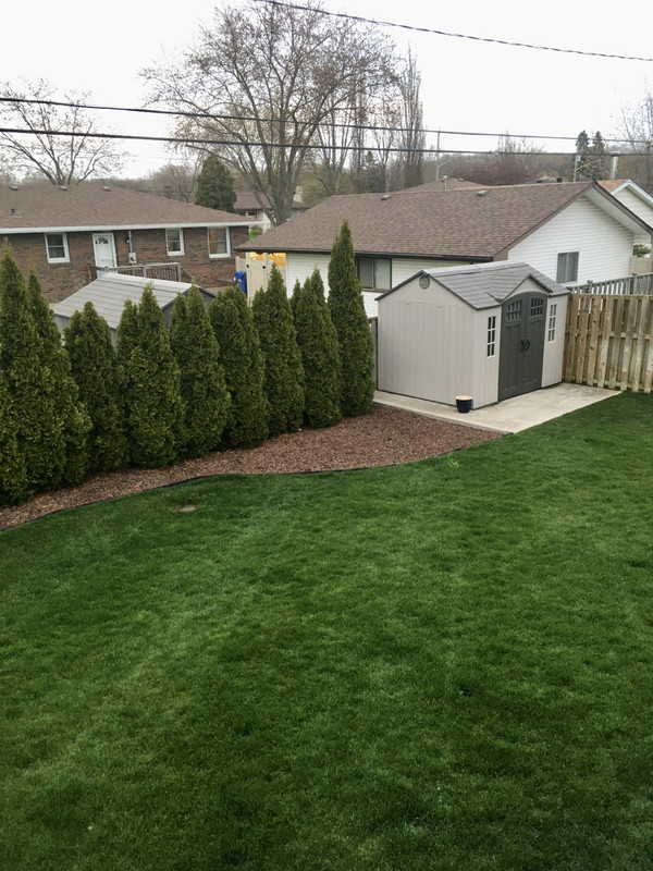 529E63D3-81BC-4CAB-9CB8-366835EDC50D