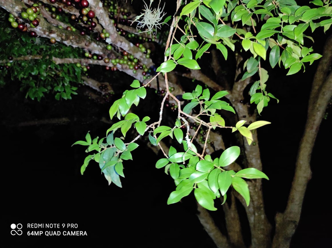 WhatsApp Image 2020-11-25 at 00.06.53 (1)