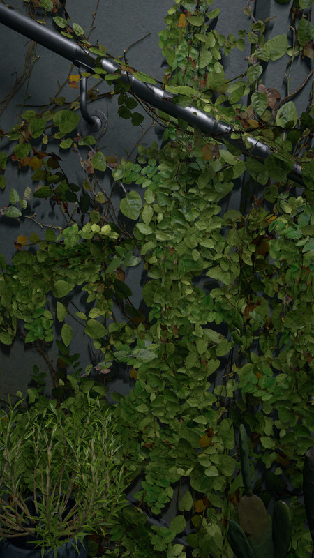 DS2 2026 04 06 15 21 37 677