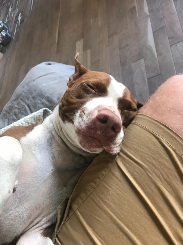 0309709F-CD57-4C6E-B2A0-33F549181F68