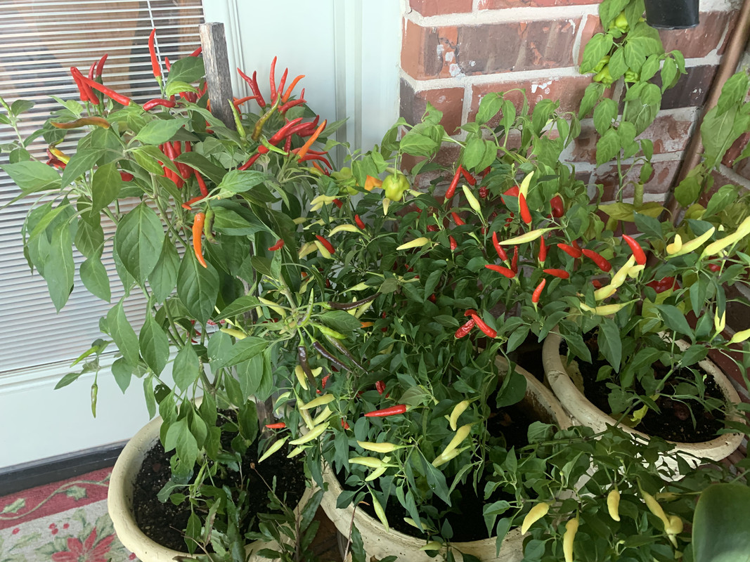 CD1B0ABA-F8A5-4593-8C61-19281B729982