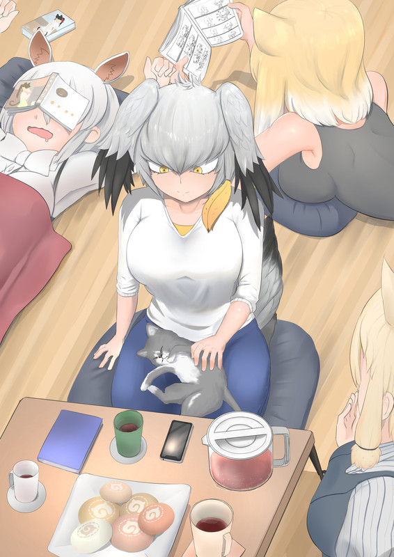 alpaca-suri-shoebill-southern-tamandua-and-tibetan-sand-fox-ke