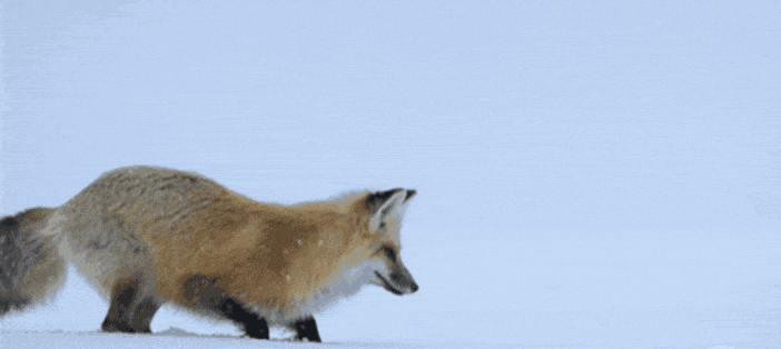 GIF-20260105-081639-543.gif