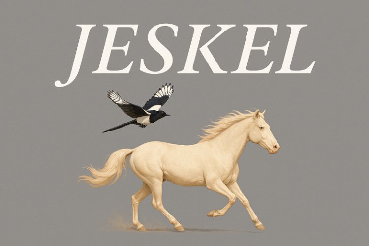 jeskel_howrse_safe.jpg