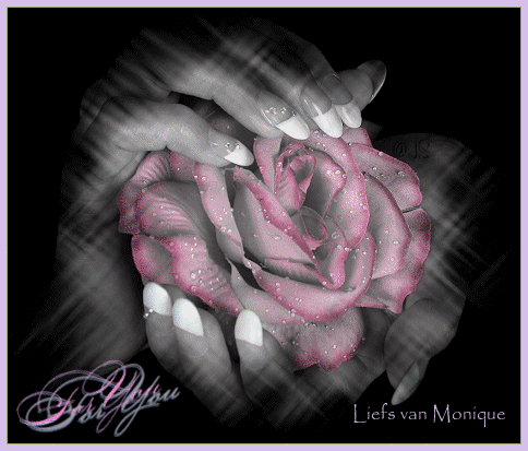 ROZE-RAND-2.gif