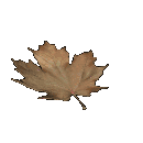 Leaf-Floating