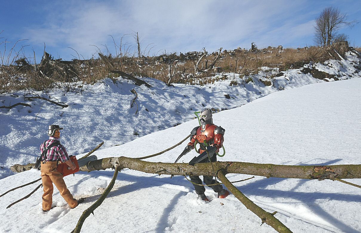 Blairadam Forest. B95-BF681-5019-40-F1-8424-EA0-C77-E96-CE3