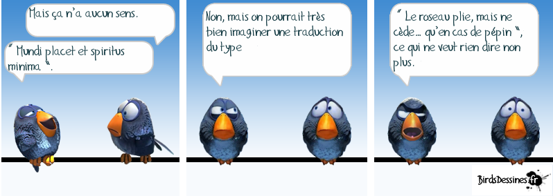 [JEUDI] - Les Birds - Page 10 2024-04-11-b-01