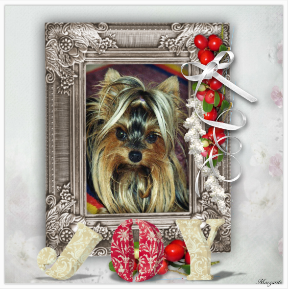 ZZZZZZZZ NOEL Amis 7