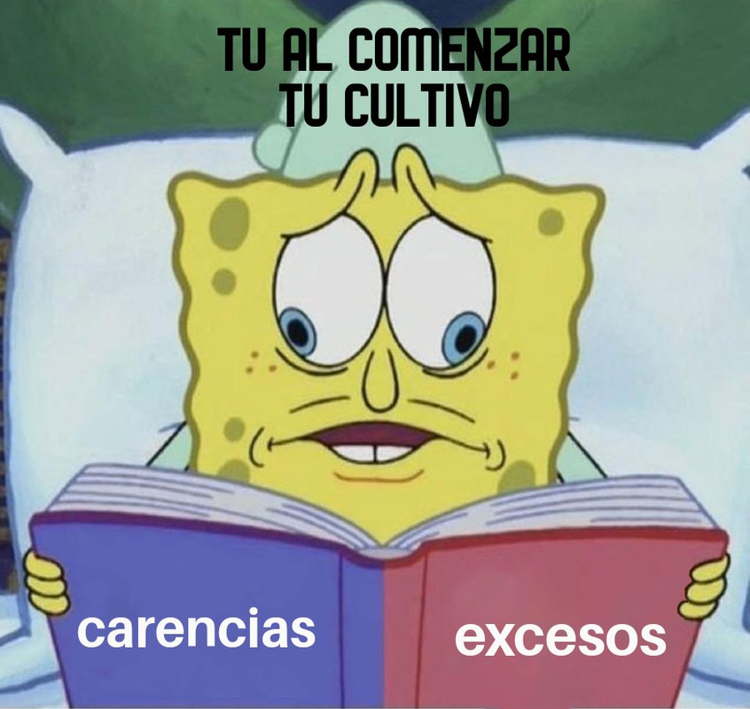 Spongebob Divided Book 21032021173938