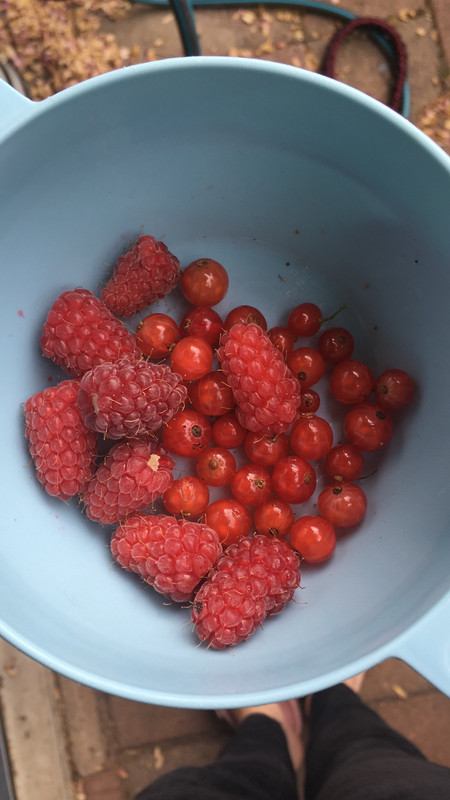 040572B0-FE19-468A-A25B-00B0238CD9D9