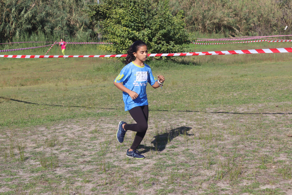 IMG-4110