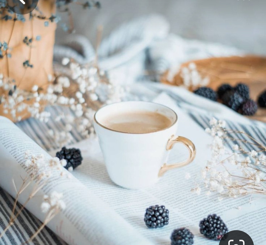 Screenshot_20240428_231540_Pinterest