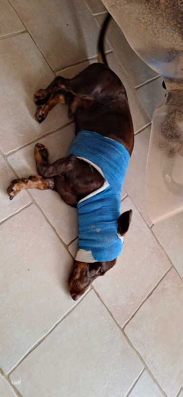 [Image: 20250817-103337.jpg]