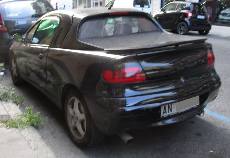 IMG-3306.jpg